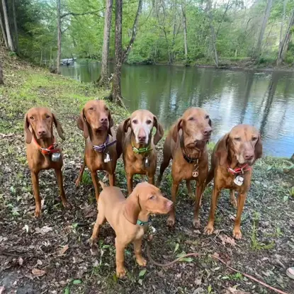 Fiona, Darla, Gladys, Iszie, Annie, and Olivia   Photo