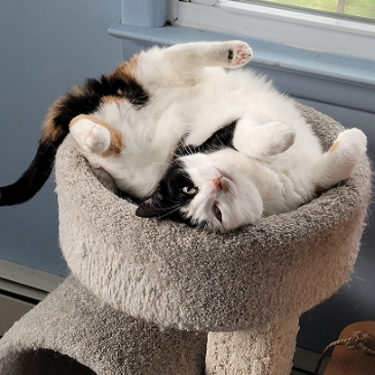 Fiona   Photo